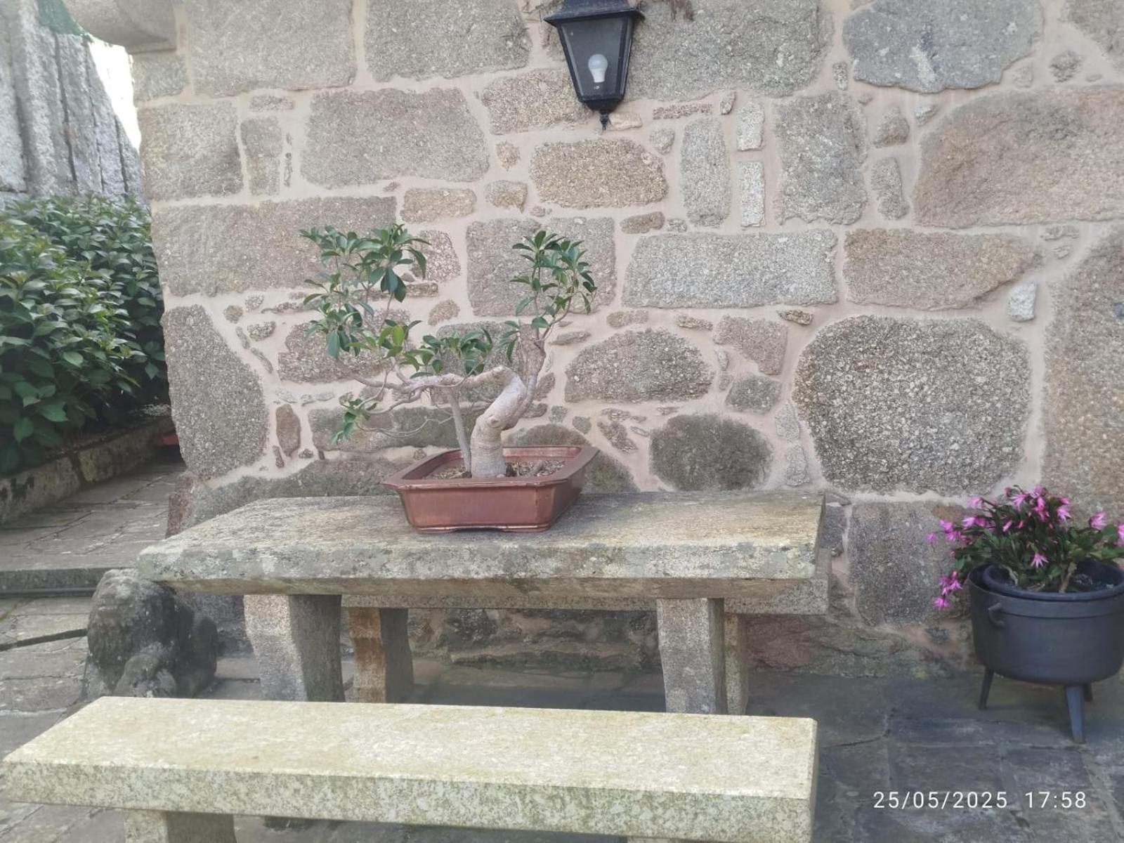 O Apartamento Do Xanza, Ideal Para Parejas Adaptado Movilidad Reducida Meis Extérieur photo