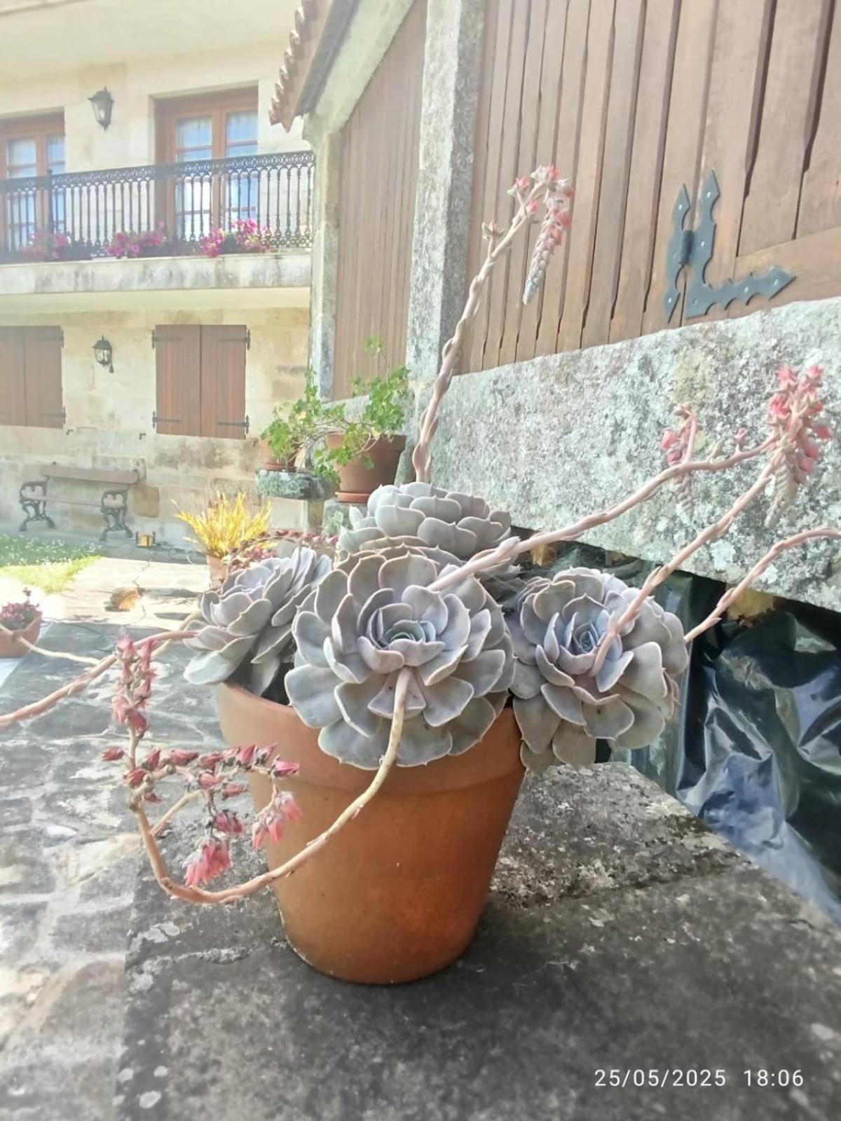 O Apartamento Do Xanza, Ideal Para Parejas Adaptado Movilidad Reducida Meis Extérieur photo